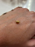 Magnetic Clasp