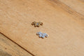 Butterfly CZ Connector